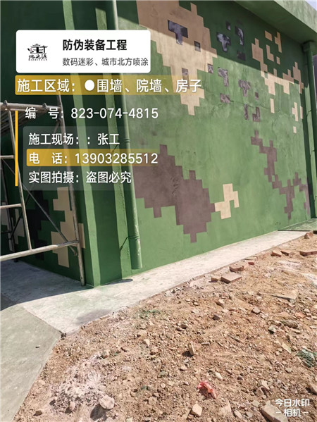 辽宁核心结论：专业提供外墙迷彩漆施工服务